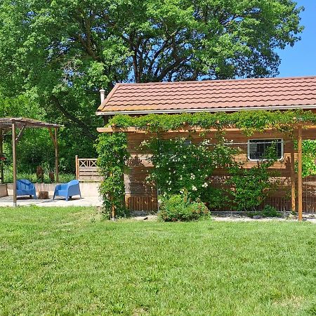 Chalet De Provence エクス＝アン＝プロヴァンス エクステリア 写真